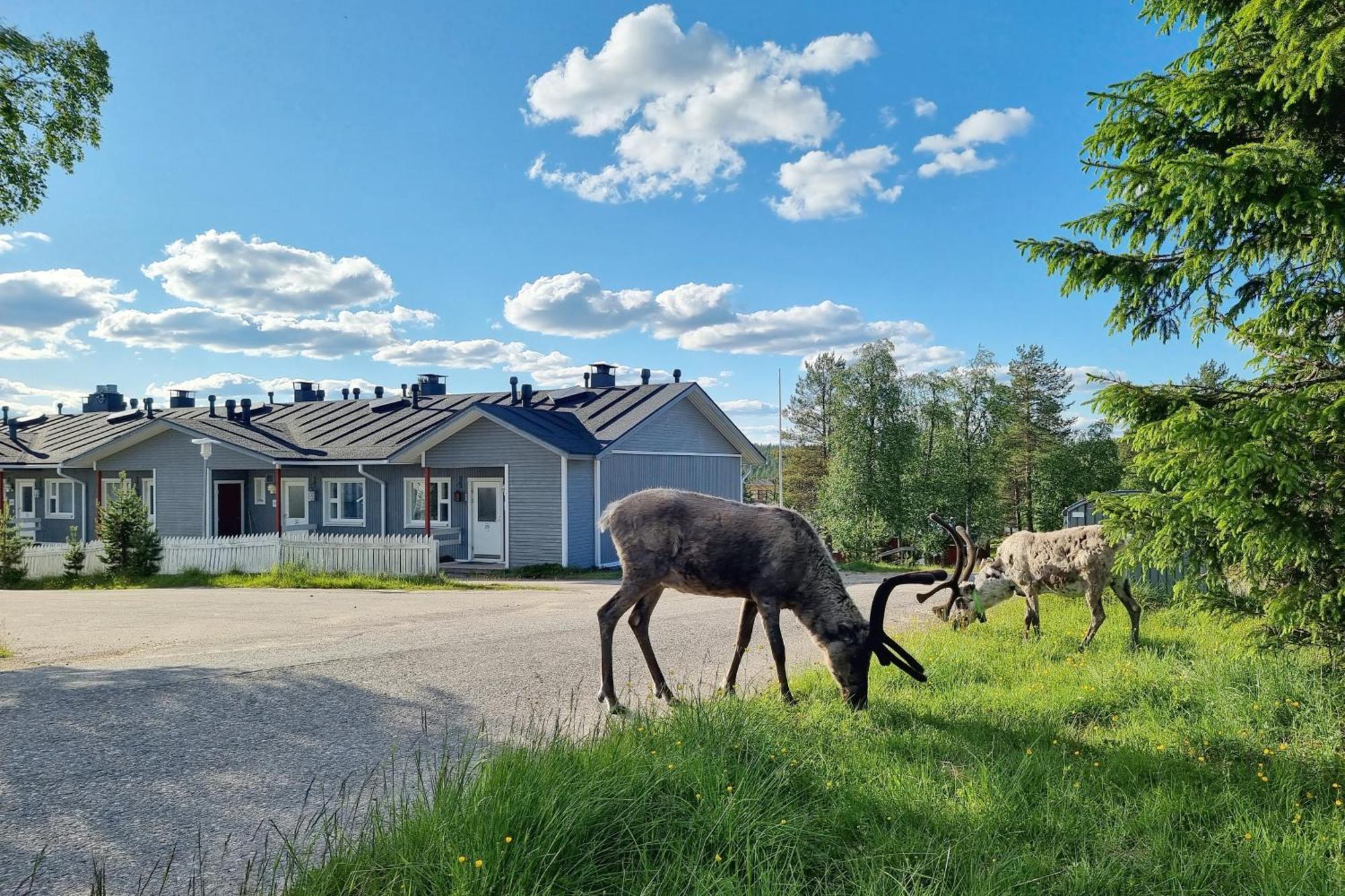 Kuukkeli Apartment *